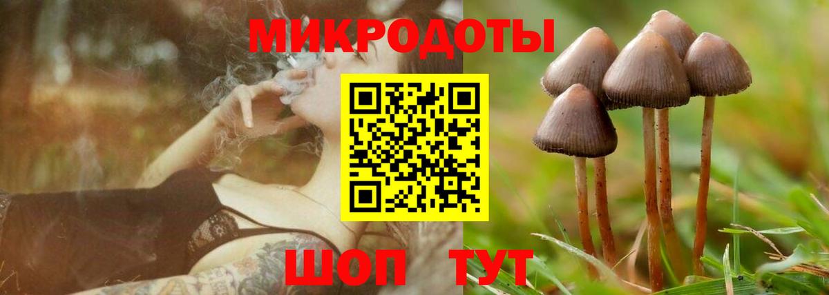 Псилоцибиновые грибы мицелий Чернушка