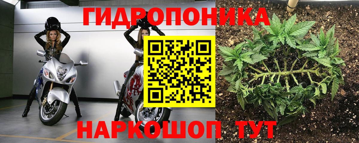 Шишки марихуана сатива Чернушка